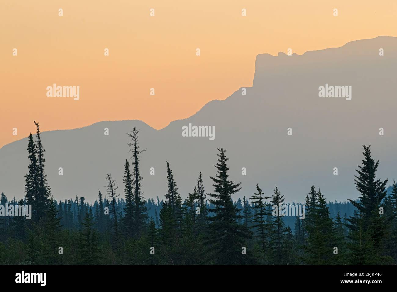 Kanada, Alberta, Jasper National Park. Roche Miette Berg- und Waldsilhouetten. Stockfoto