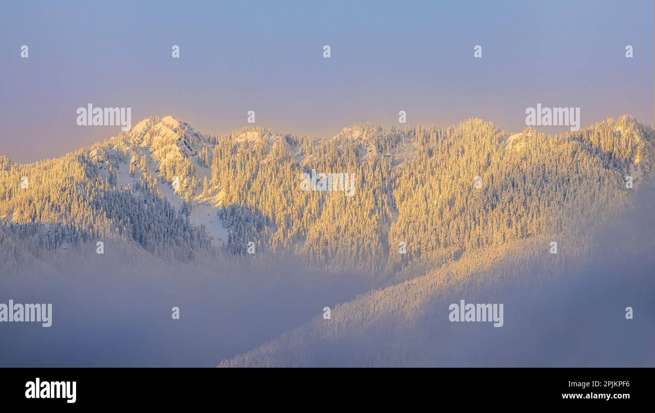 USA, Bundesstaat Washington. Sonnenaufgang auf schneebedeckten Bergen im Olympic National Forest. Stockfoto