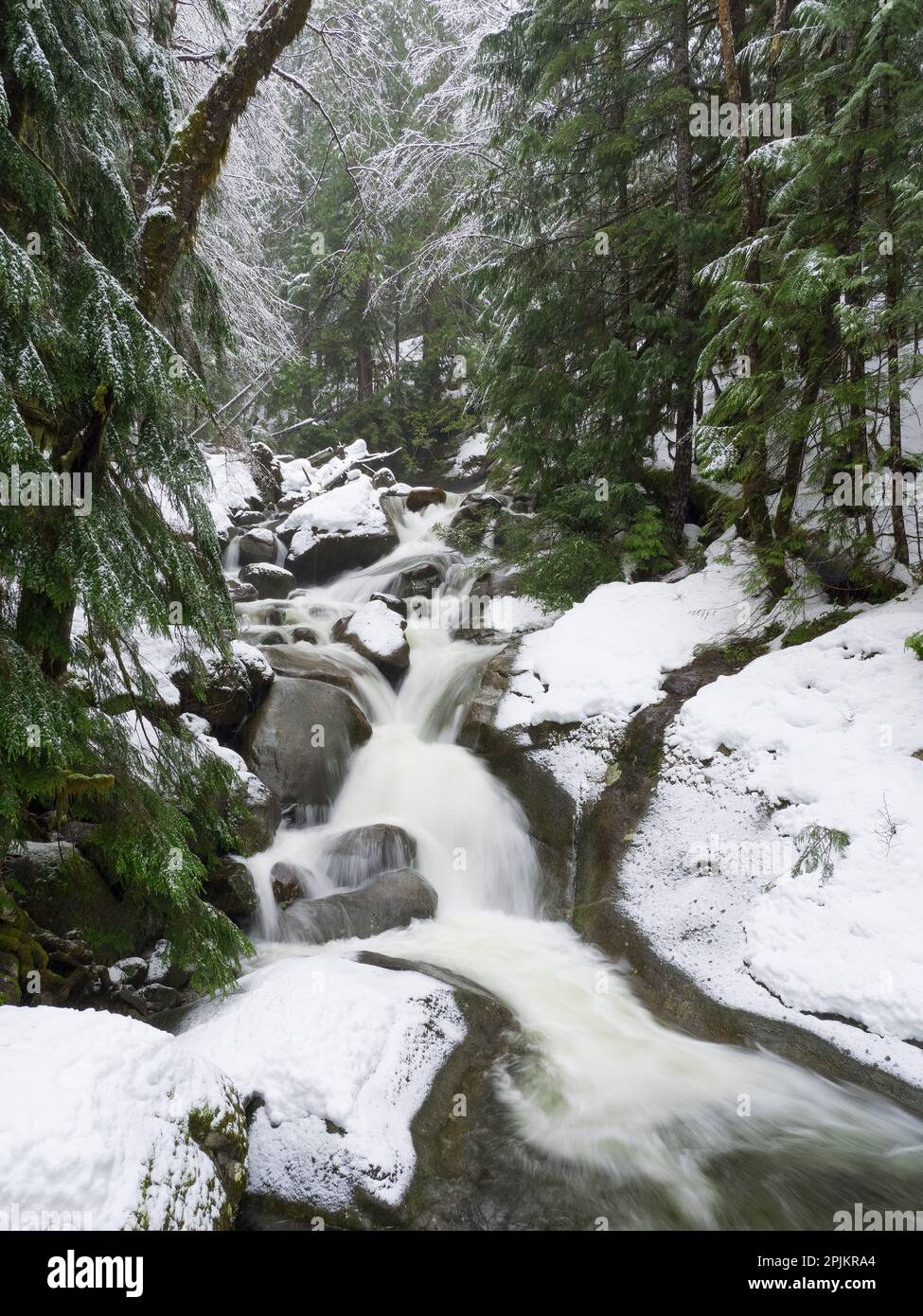 Washington State, Zentrale Kaskaden. Martin Creek Stockfoto