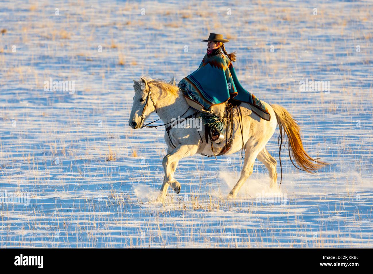 USA, Shell, Wyoming. Verstecktes Cowgirl auf dem Pferd im Schnee. (PR, MR) Stockfoto
