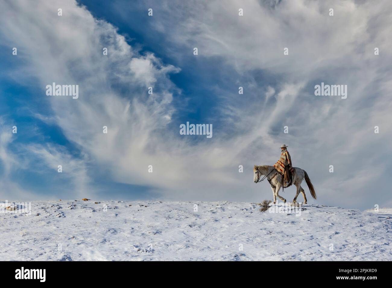 USA, Shell, Wyoming. Verstecktes Cowgirl auf dem Pferderücken, reitet auf dem Ridgeline-Schnee. (PR, MR) Stockfoto