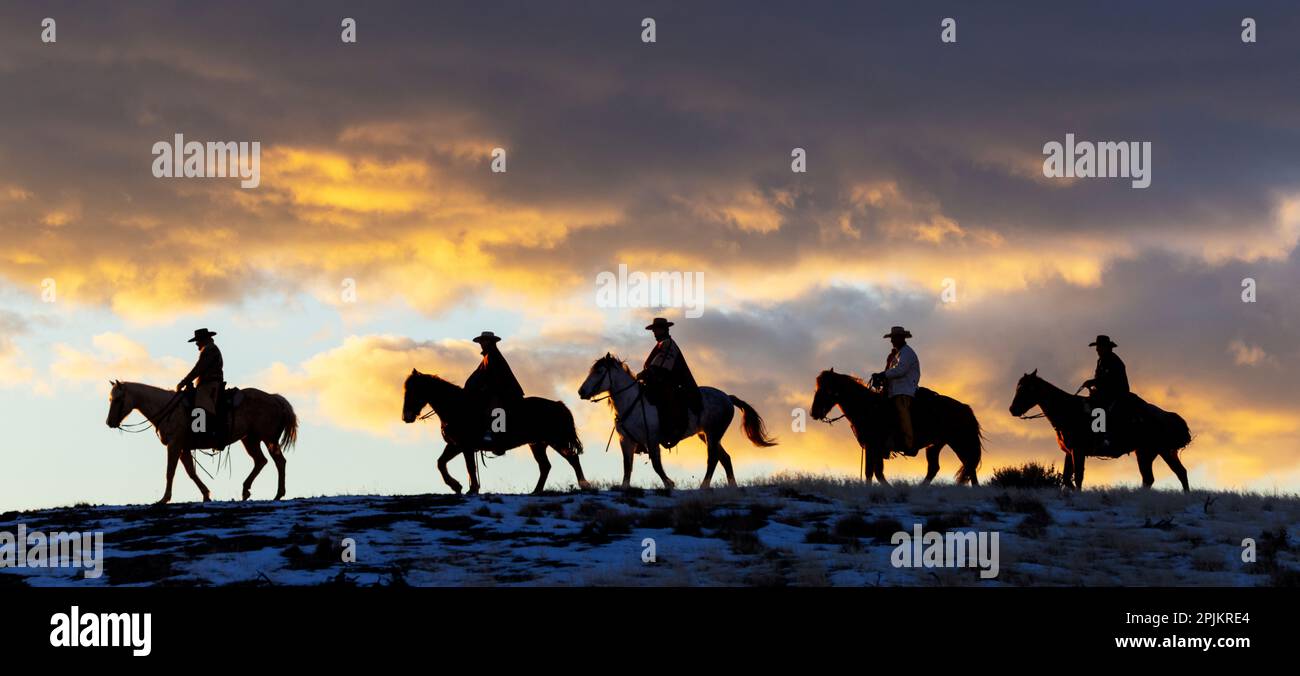 USA, Shell, Wyoming. Versteckte Cowboys und Cowgirls auf der Ranch, die sich auf dem Ridgeline vor Sonnenuntergang schützen. (PR, MR) Stockfoto