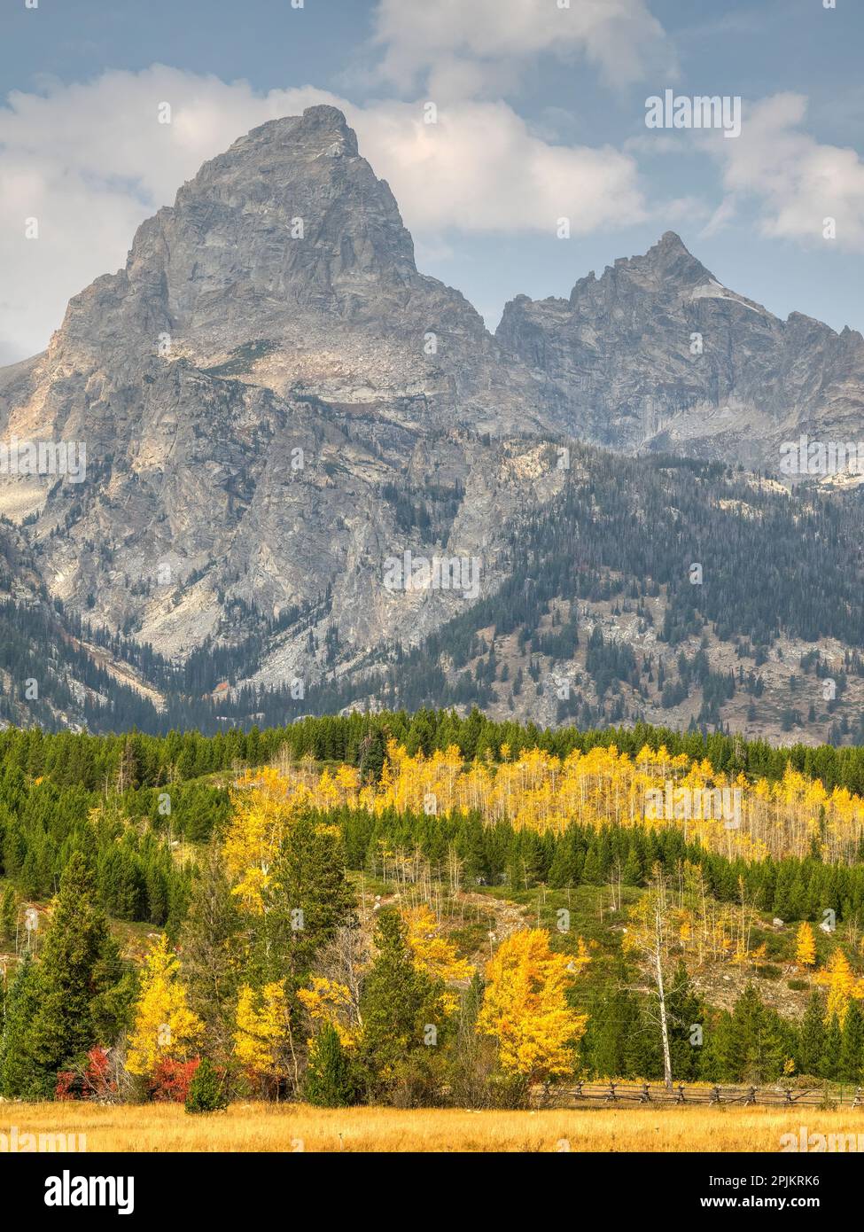 Wyoming, Grand Teton Nationalpark. Teton Range mit Grand Teton und goldenen Aspen Bäumen Stockfoto