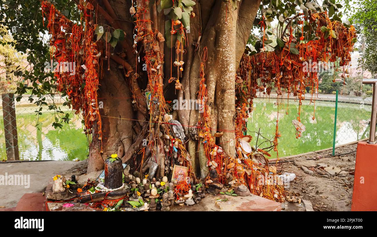 Blick auf den Wunschbaum des Shiva-Tempels von 108, Burdwan, Westbengalen, Indien. Stockfoto