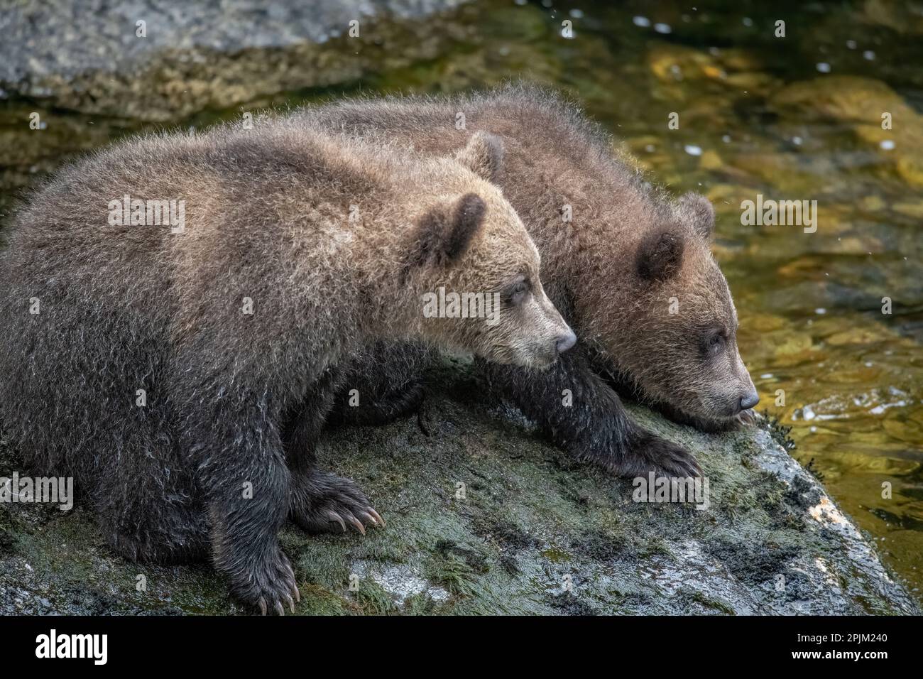 Ängstliche Jungen, die darauf warten, dass mom mit dem Angeln fertig ist. Stockfoto