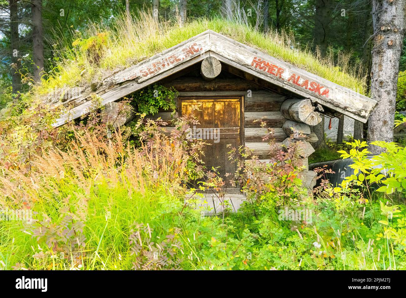 Alaska, Homer. Ein kleines Holzhaus mit Grasdach. Stockfoto