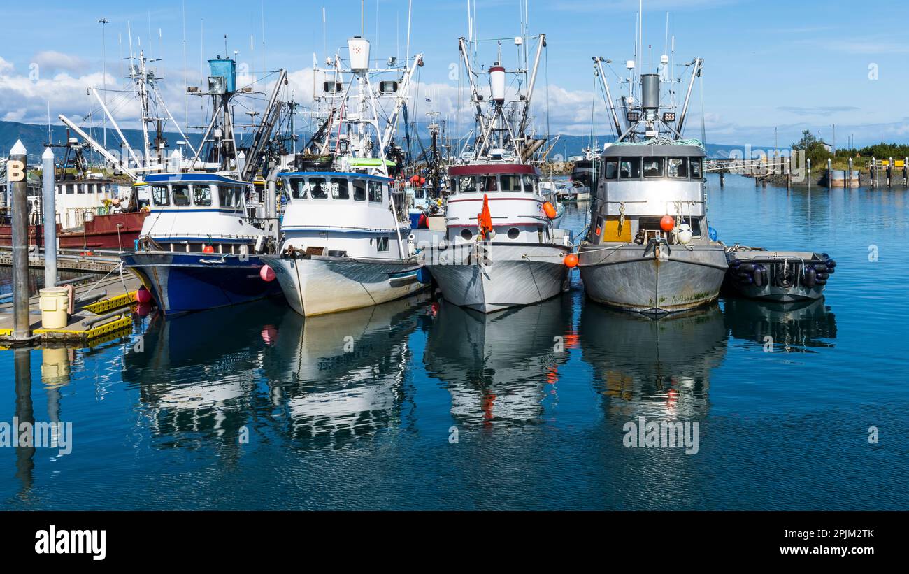 USA, Alaska, Homer. Fischerboote im Yachthafen. Stockfoto