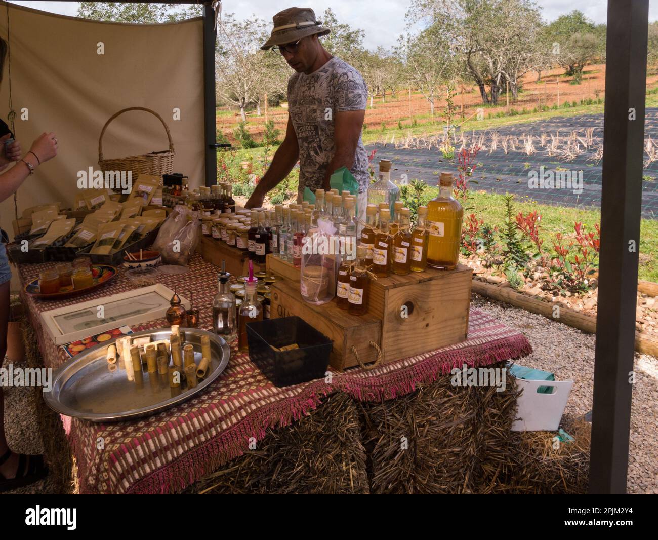 Ehrgeiziger Unternehmer, der natürliche Produkte aus Goji-Beeren, Honiglikören und Gin in ländlichen Gebieten der Paderne Algarve Portugal EU zeigt Stockfoto