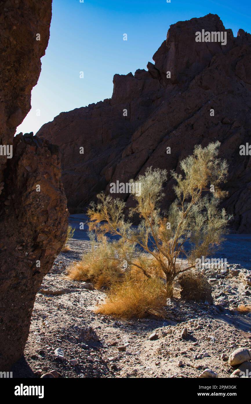 Painted Canyon, Mecca Hills, Kalifornien Stockfoto