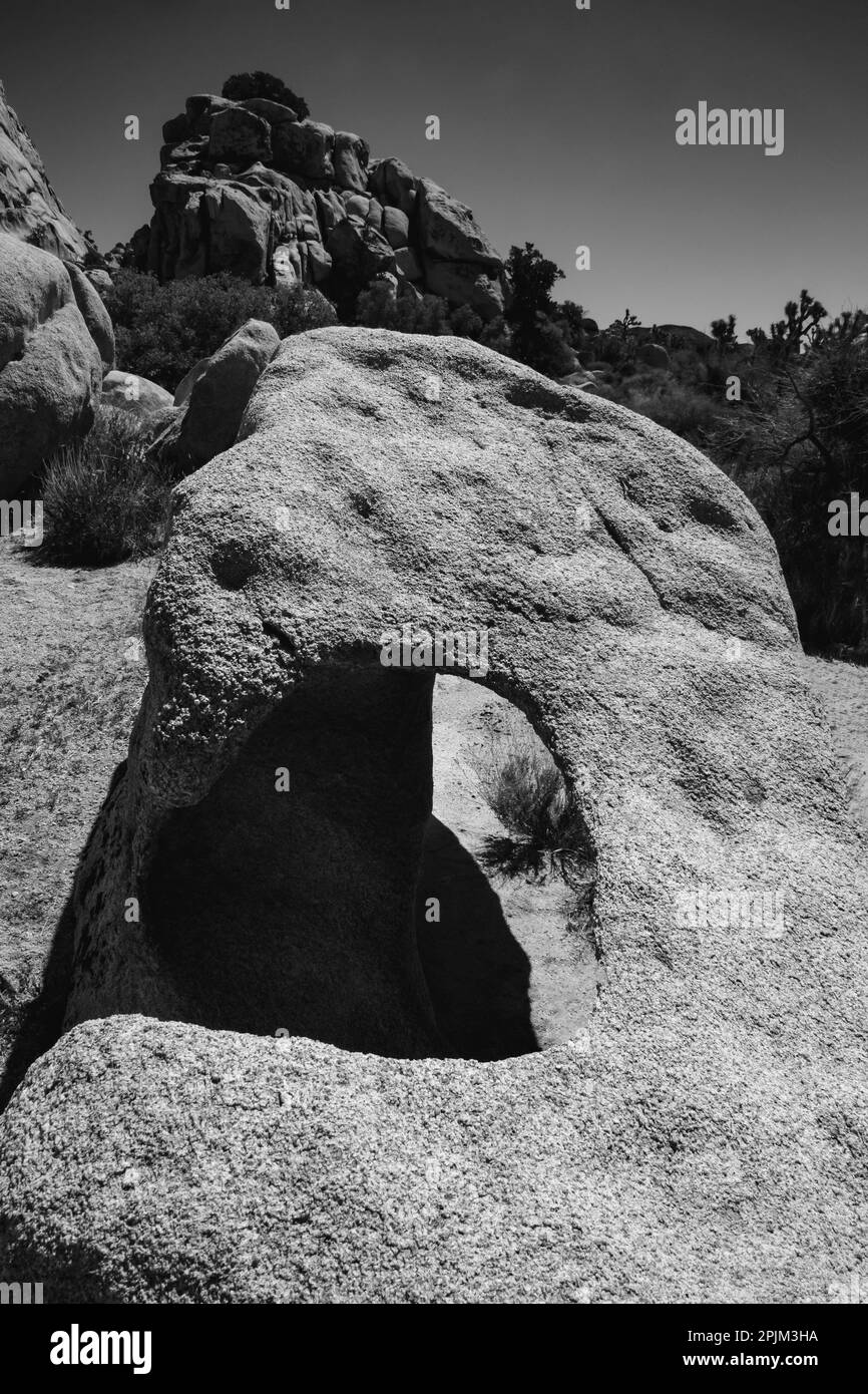 Granite Tree National Park, Kalifornien Stockfoto