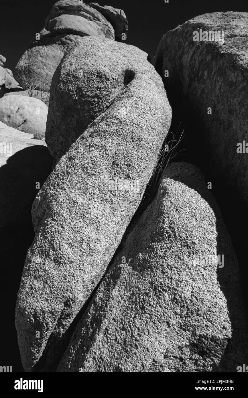 Granite Tree National Park, Kalifornien Stockfoto
