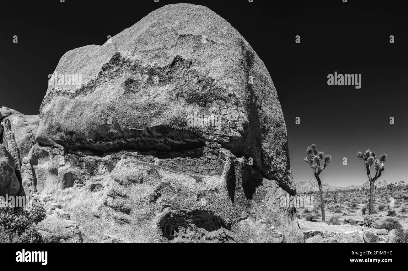 Granite Tree National Park, Kalifornien Stockfoto