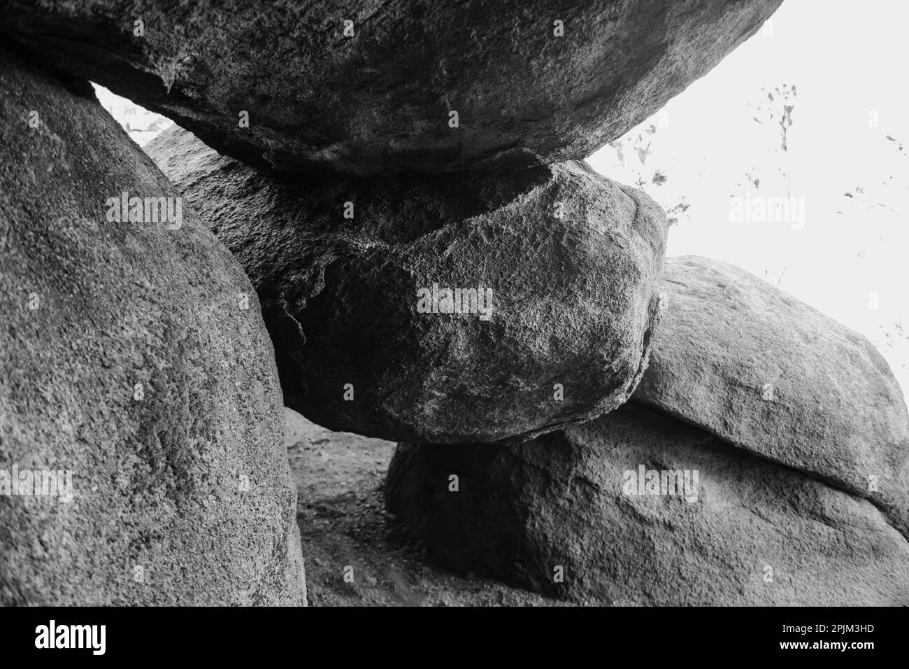 Granite Tree National Park, Kalifornien Stockfoto