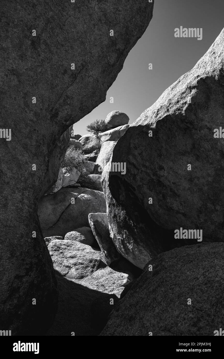 Granite Tree National Park, Kalifornien Stockfoto