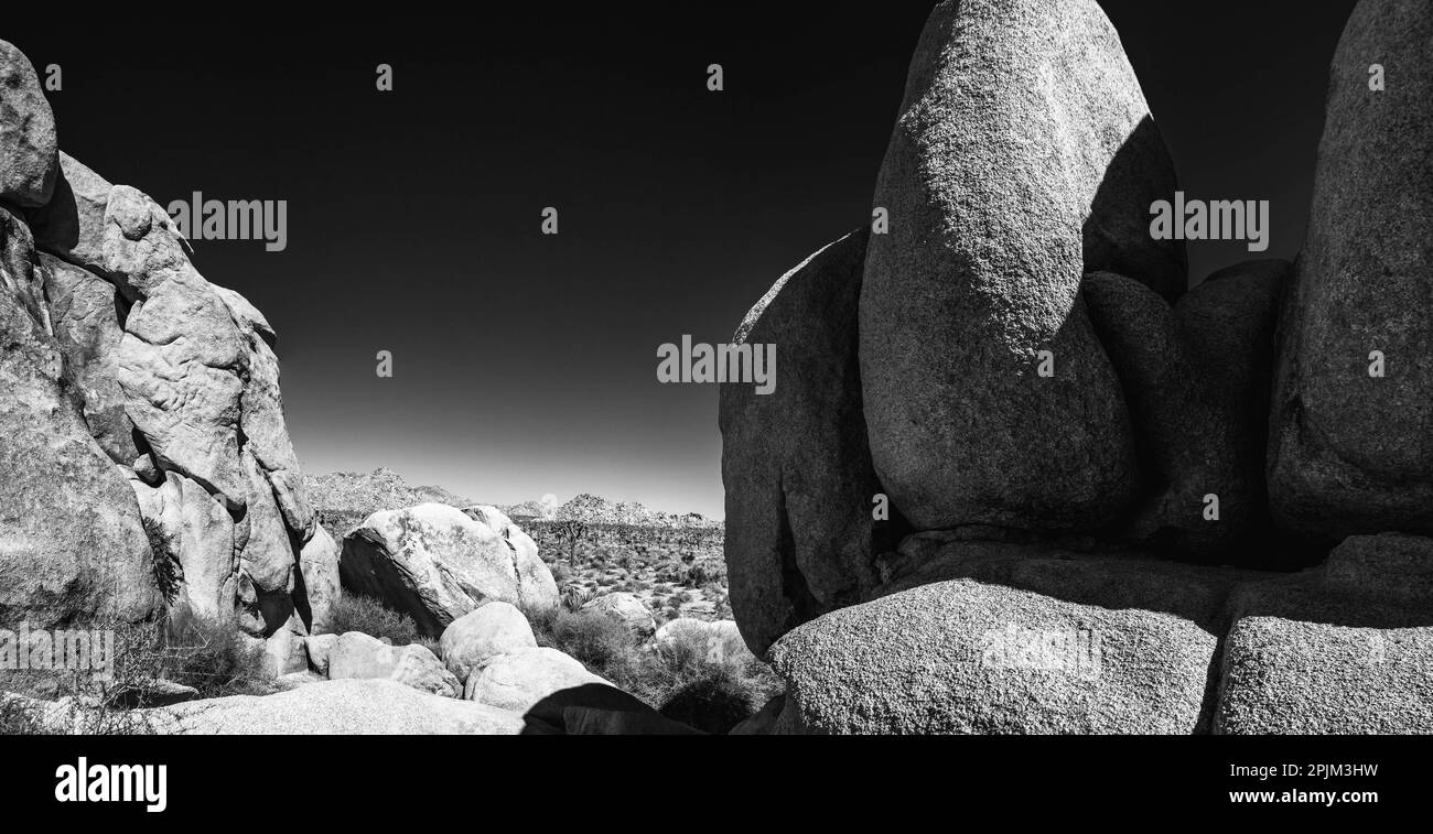 Joshua Tree Nationalpark, Kalifornien Stockfoto