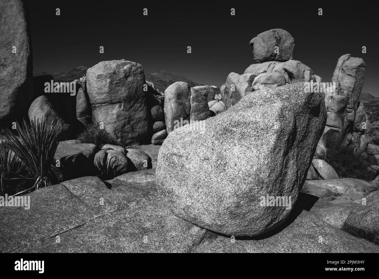 Joshua Tree Nationalpark, Kalifornien Stockfoto