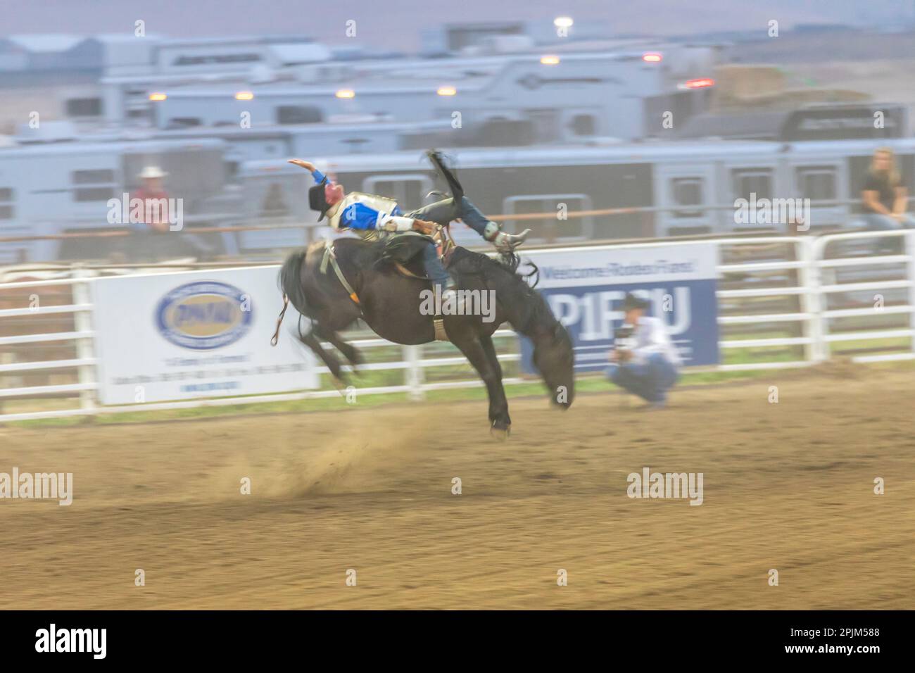 USA, Washington State, Whitman County, Palouse. Palouse Empire State Fair, Colfax. Rodeo. Bronco bricht zusammen. (Nur Redaktionelle Verwendung) Stockfoto
