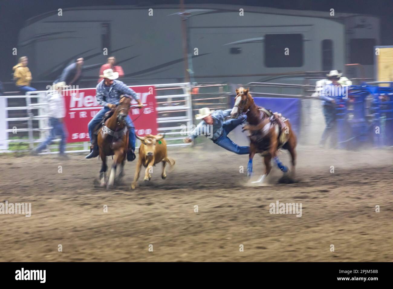 USA, Washington State, Whitman County, Palouse. Palouse Empire State Fair, Colfax. Rodeo. Steuerseil. (Nur Redaktionelle Verwendung) Stockfoto