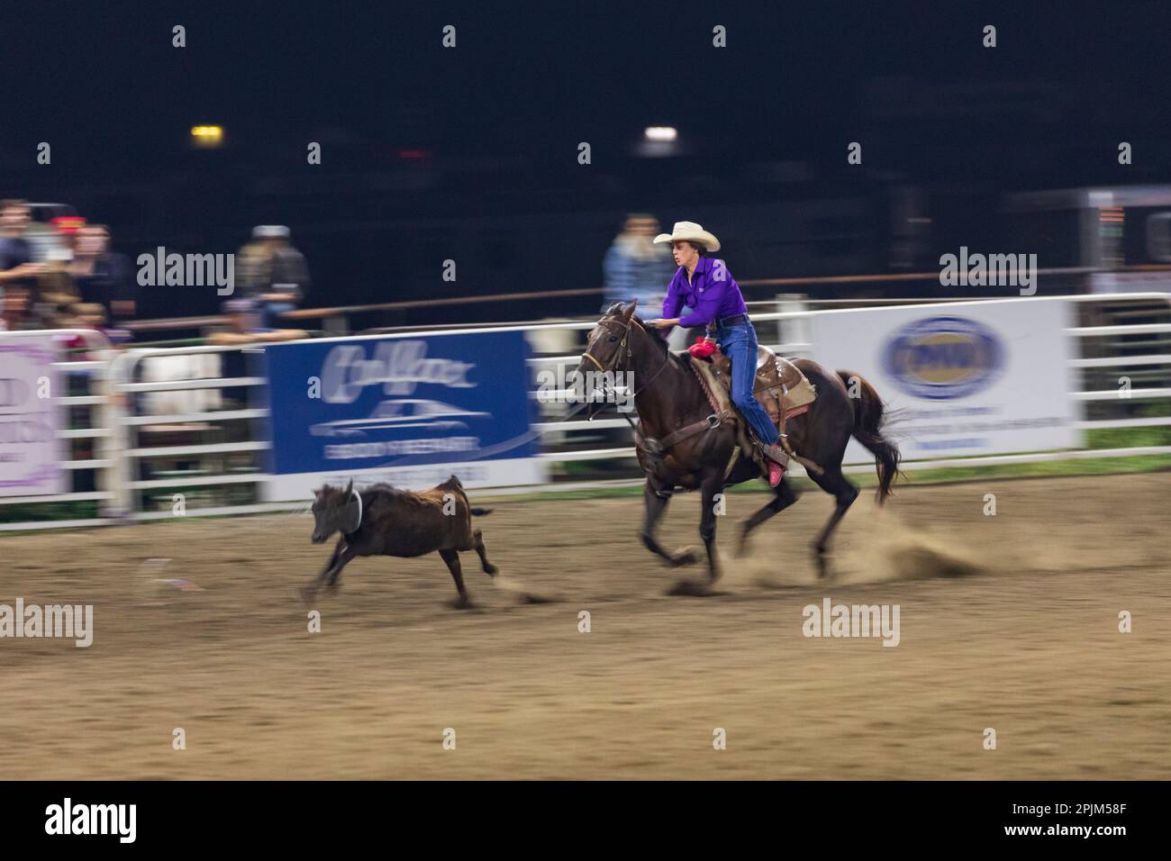 USA, Washington State, Whitman County, Palouse. Palouse Empire State Fair, Colfax. Rodeo. Wadenseile. (Nur Redaktionelle Verwendung) Stockfoto