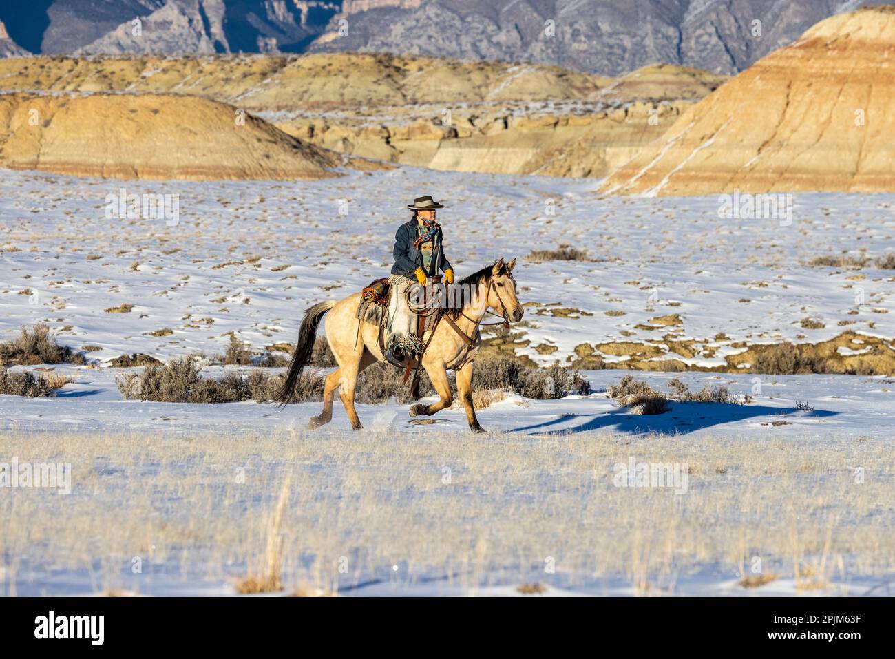 USA, Wyoming. Versteck Pferderanch, Wrangler und Pferd im Schnee. (HERR, PR) Stockfoto