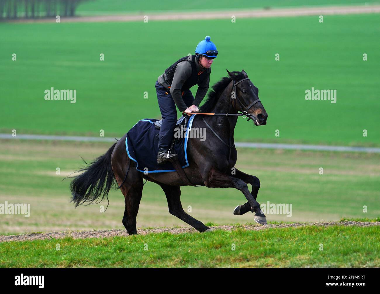 Aktenfoto von 30-03-2023 von Mister Coffey. Trainer Nicky Henderson würde gerne sehen, wie Mister Coffey die einzige bedeutende Lücke in seinem Lebenslauf mit einem Sieg im Randox Grand National in Aintree füllt. Ausgabedatum: Montag, 3. April 2023. Stockfoto