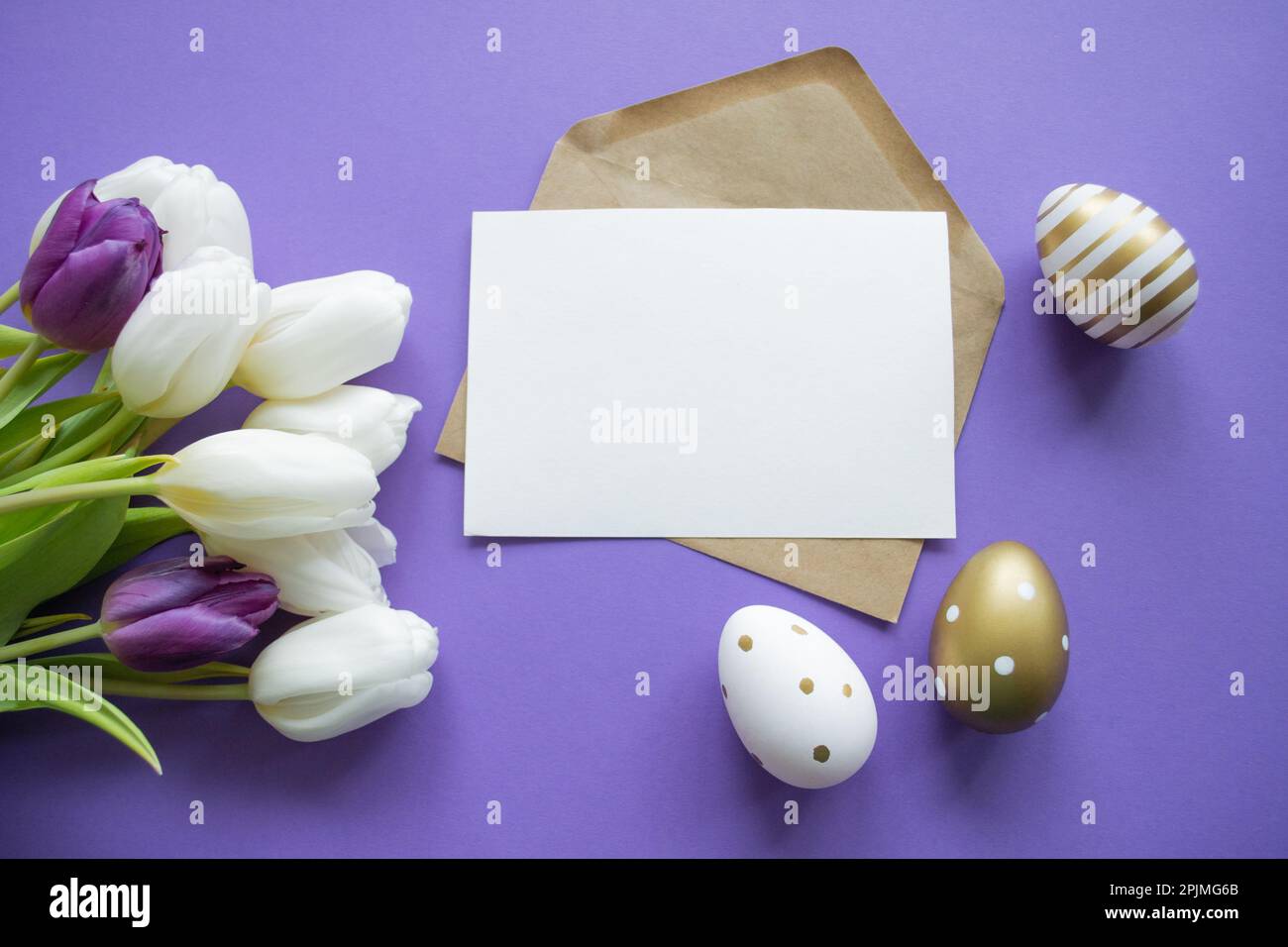 Ostergrüße: Papierbrief-Kopierfläche auf violettem Hintergrund. Bouquet von weißen Tulpen und ostereiern golden und mit Muster. Stockfoto