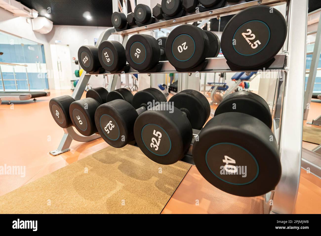 Schwere schwarze Metall-Kurzhanteln für Krafttraining auf dem Regal. Stockfoto