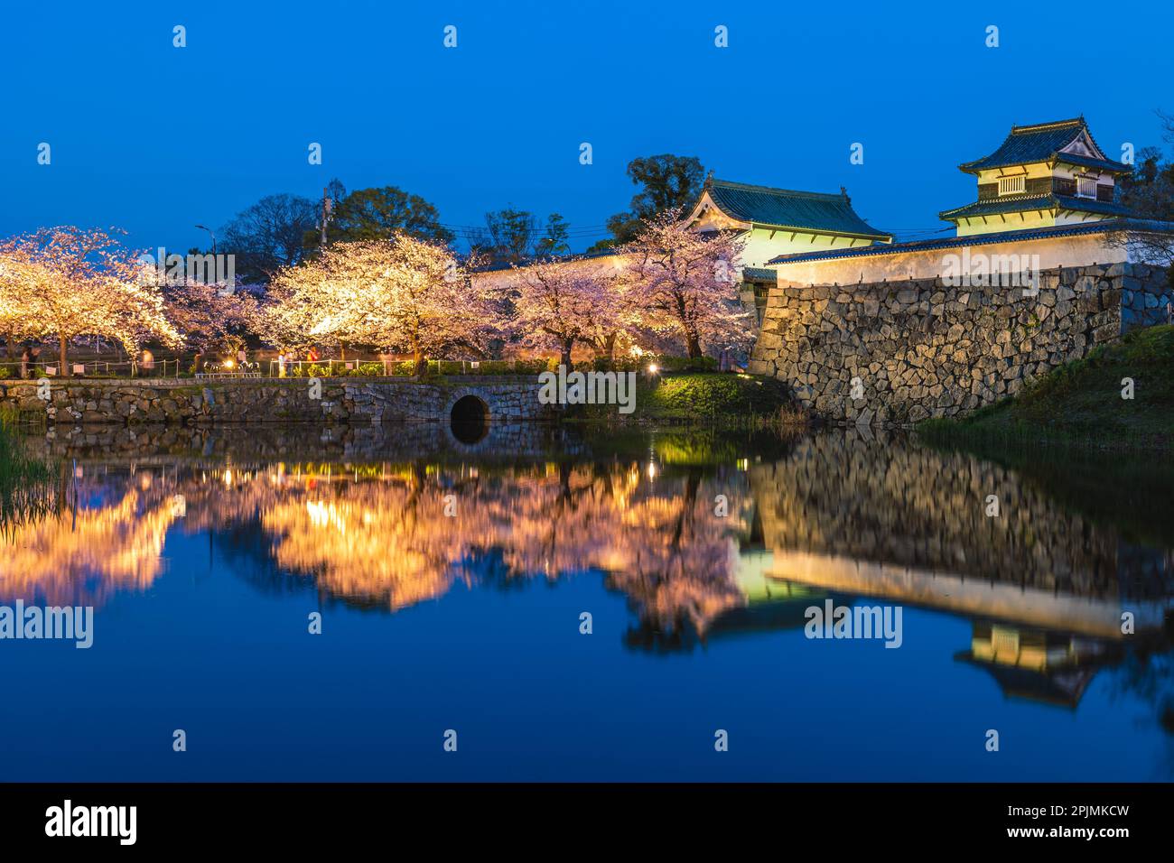 Burg Fukuoka mit Kirschblüte in Fukuoka, Kyushu, Japan Stockfoto