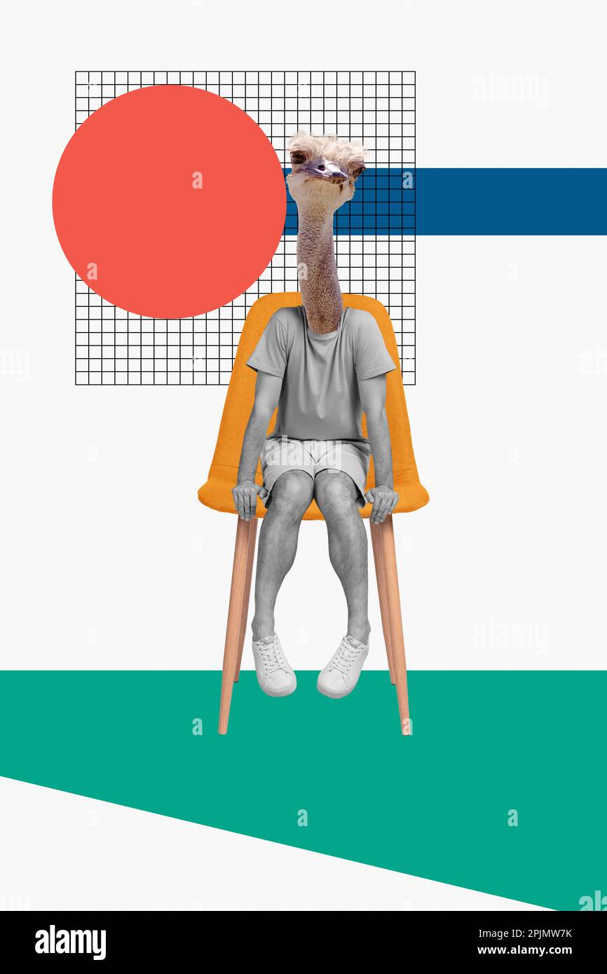 Zusammengesetzte Fotocollage eines kopflosen Straußentieres, die auf gezeichneten Hintergrund isolierte, neugierige Sitzumkleidekleidung beobachtet Stockfoto