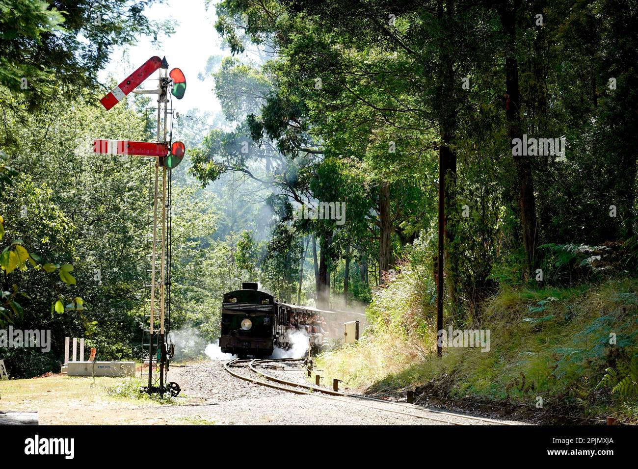 Touristen, die mit dem Puffing Billy Steam Train in Melbourne, Australien fahren Stockfoto