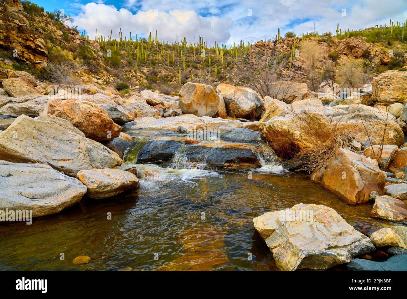 Kleiner Wasserfall am Tanque Verde Creek im Coronado National Forest, Arizona. Stockfoto