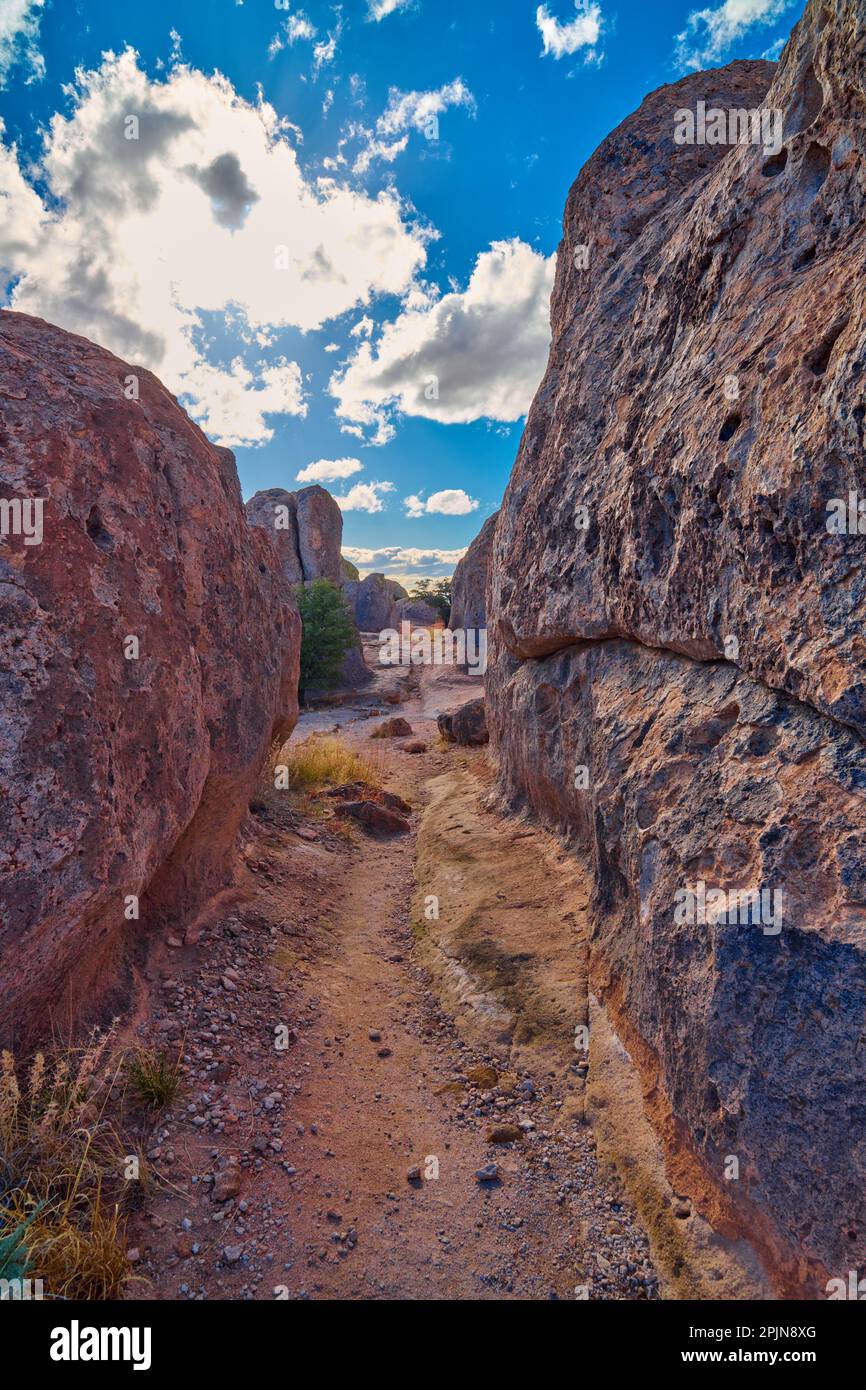 Wanderweg im City of Rocks State Park, New Mexico. Stockfoto