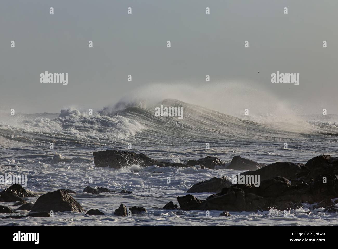 Windsprühnebel von einer mächtigen brechenden Welle. Nördliche portugiesische Küste Stockfoto