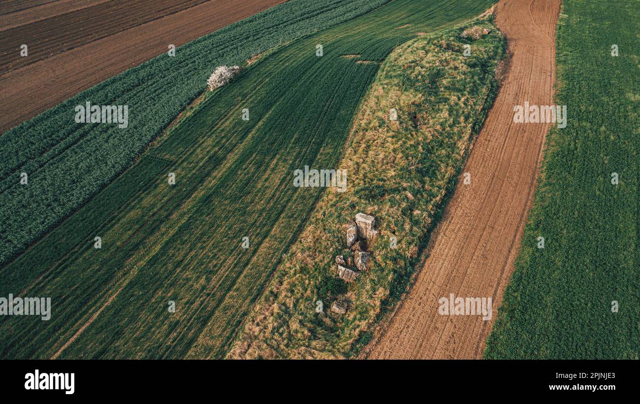 Luftaufnahme eines unebenen, holprigen landwirtschaftlichen Feldes mit Weichweizenkeimpflanzen, Blick aus dem großen Winkel von der Drohne pov Stockfoto