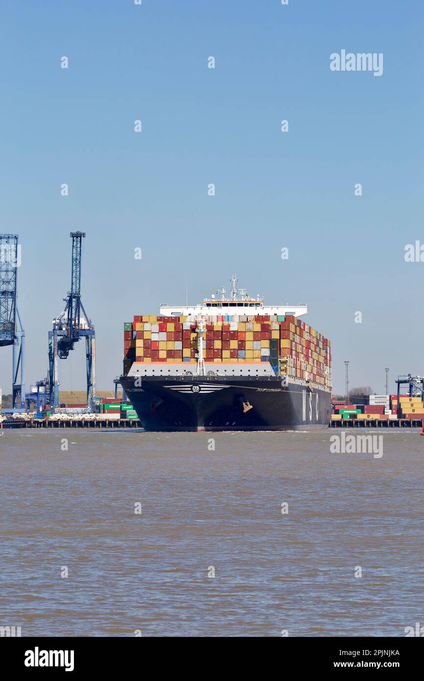Containerschiff MSC London Anlegeplatz im Hafen von Felixstowe Suffolk UK. Stockfoto