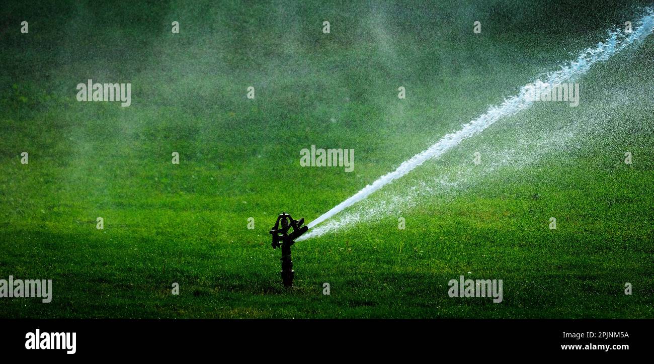 Sprinkler in einem Park, der Wasser spritzt, das üppiges grünes Gras bewässert Stockfoto