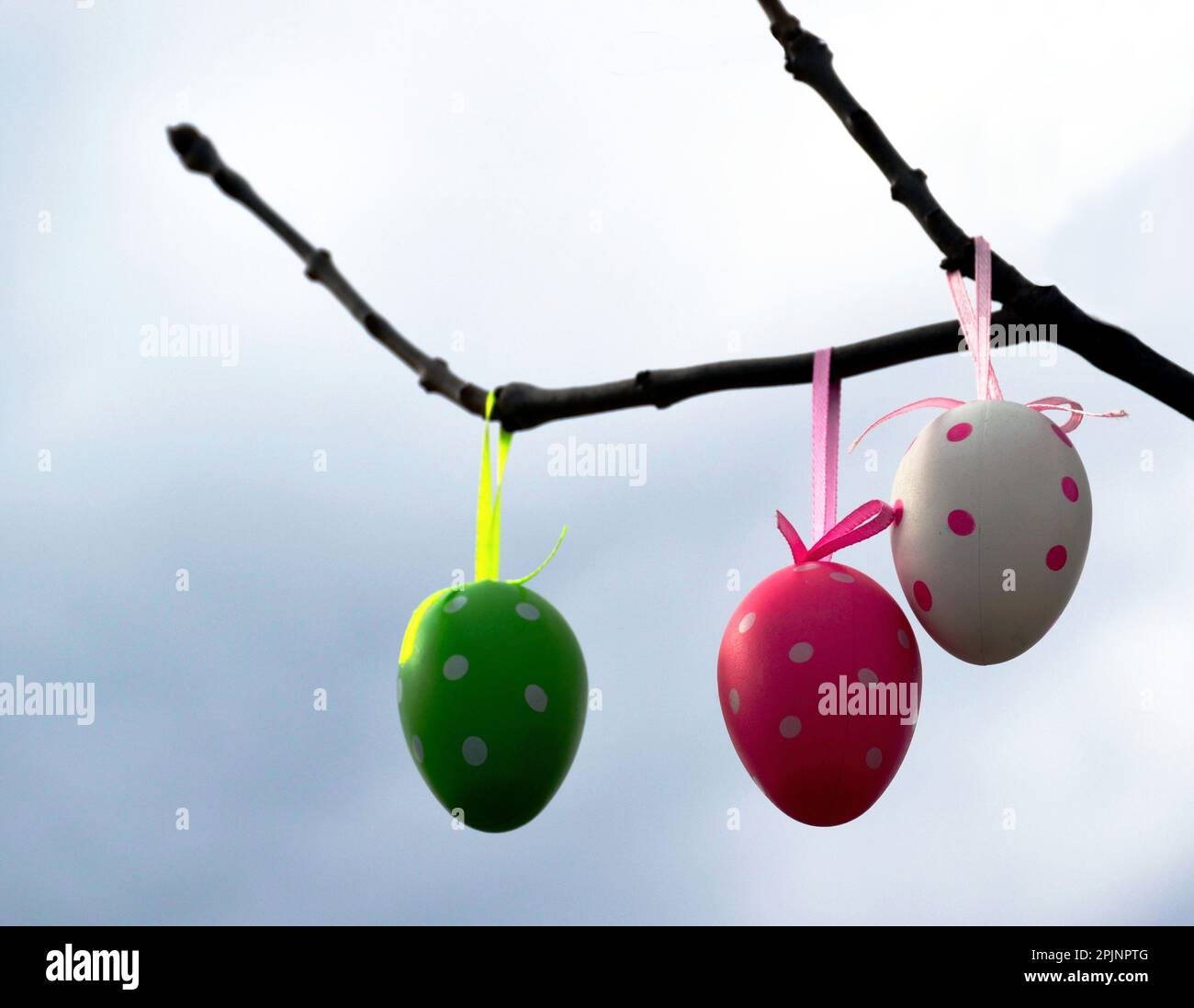 Frühlingsbaum-Astdetails mit bunten Kunststoffeiern. Außendekoration zur Feier der Osterferien. Osterferien und Eiermalerei-Konzept Stockfoto