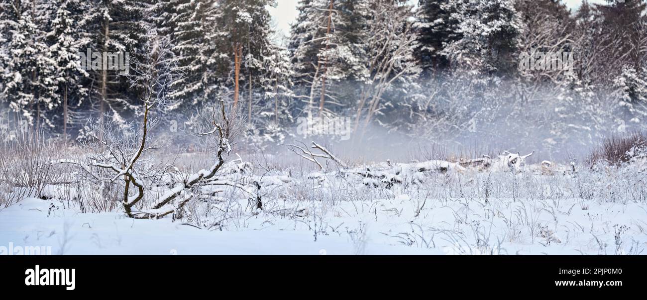 Schneeschicht bedeckt treibende Holzzweige und Steine in der Nähe des Flusses, verschwommene dunkle Bäume im Hintergrund - kalte Winterlandschaft Stockfoto