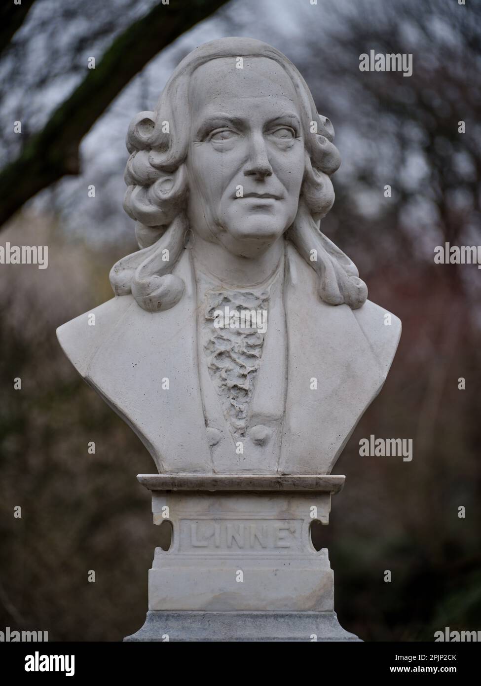 Botanischer Garten im Frühling Breslau-Niederschlesien Polen Stockfoto