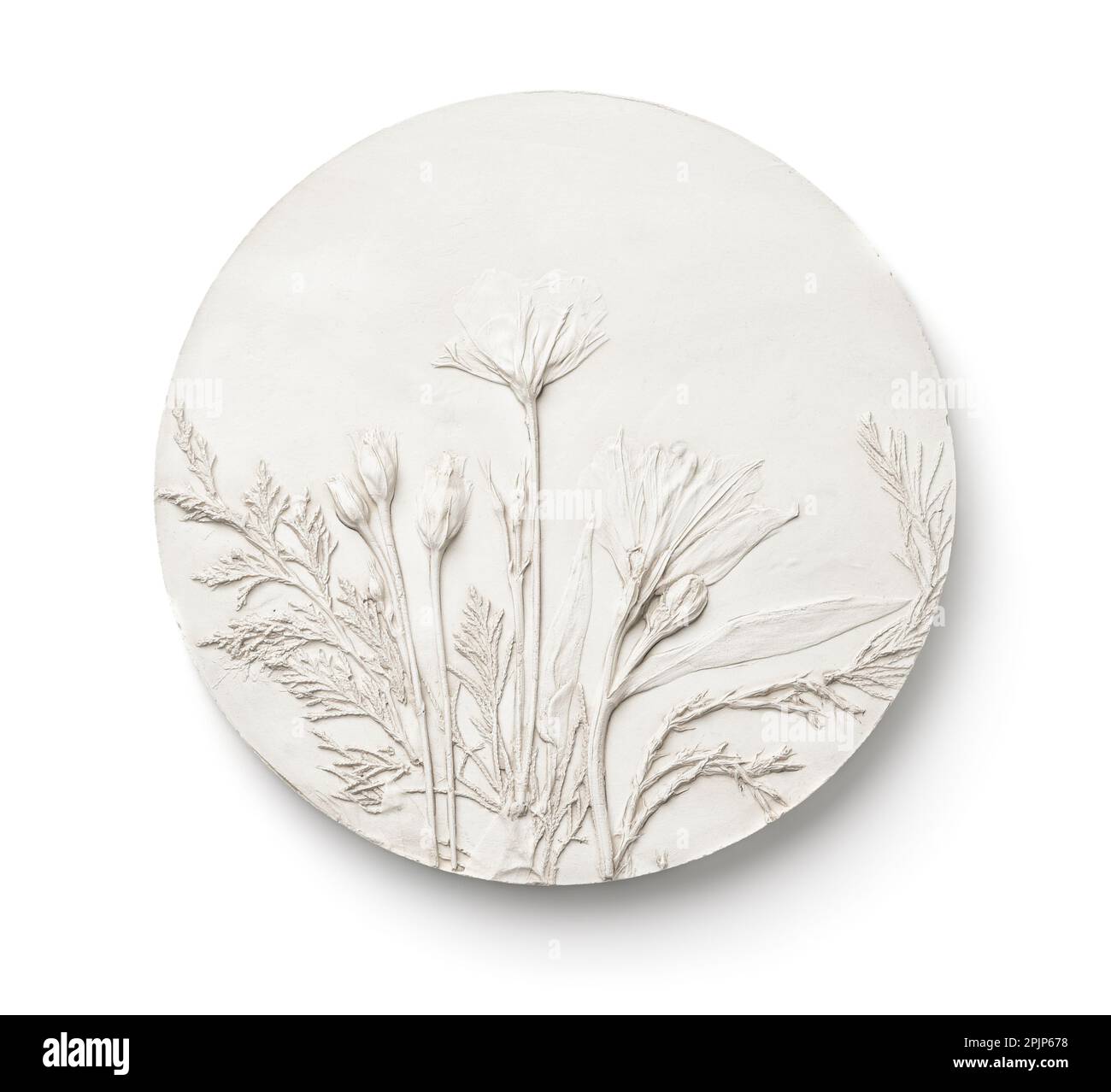 Vorderansicht eines runden, handgefertigten botanischen Bas-Relief-Paneels aus Gips, isoliert auf weiß Stockfoto