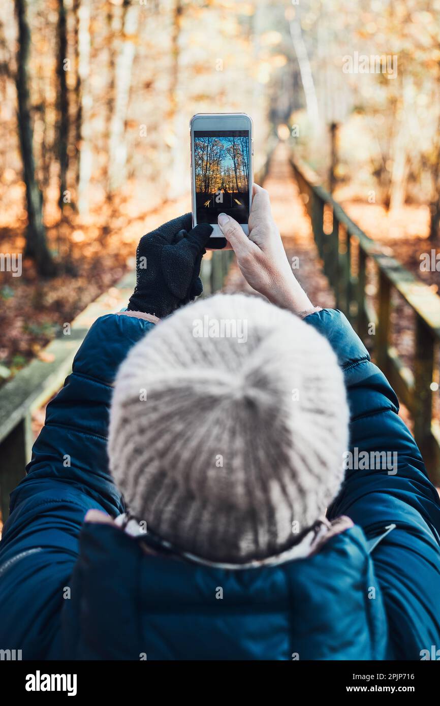 Rückansicht der jungen Frau, die Fotos von Waldlandschaft Mit Smartphone während der Reise am Herbstsonntag Stockfoto