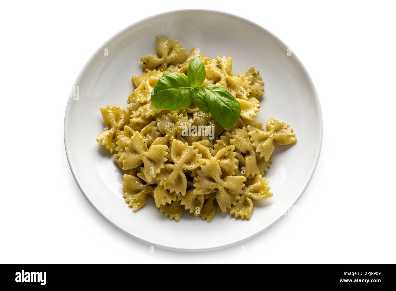 Farfalle Pasta (Fliege) mit Pesto, einer typisch genesischen Soße aus Basilikum, Pinienkernen, Olivenöl und Parmesankäse in einem weißen Gericht mit Haarschnitt Stockfoto