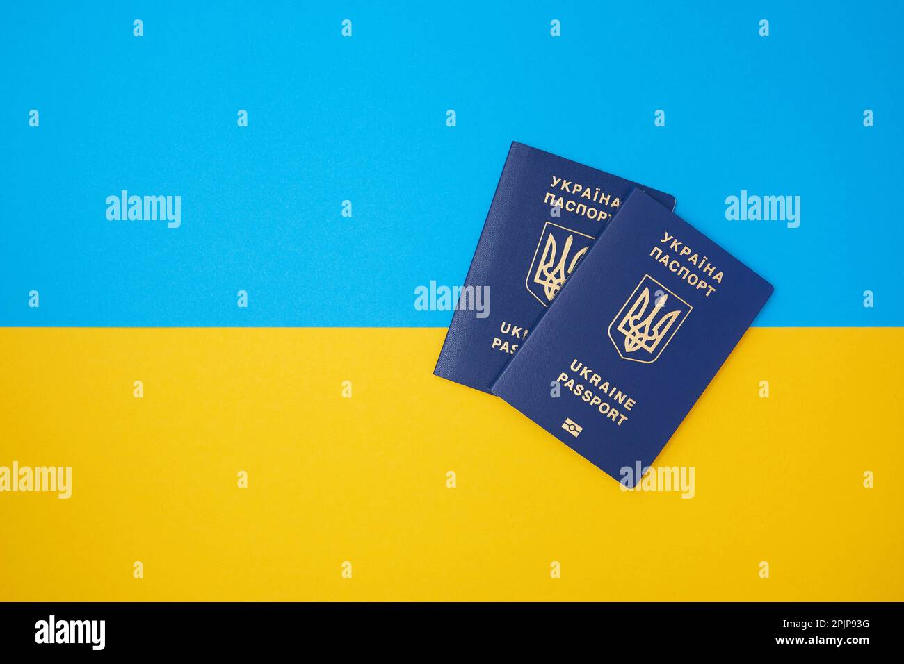 Zwei blaue ukrainische biometrische Pässe auf der ukrainischen Nationalflagge in der Draufsicht Stockfoto