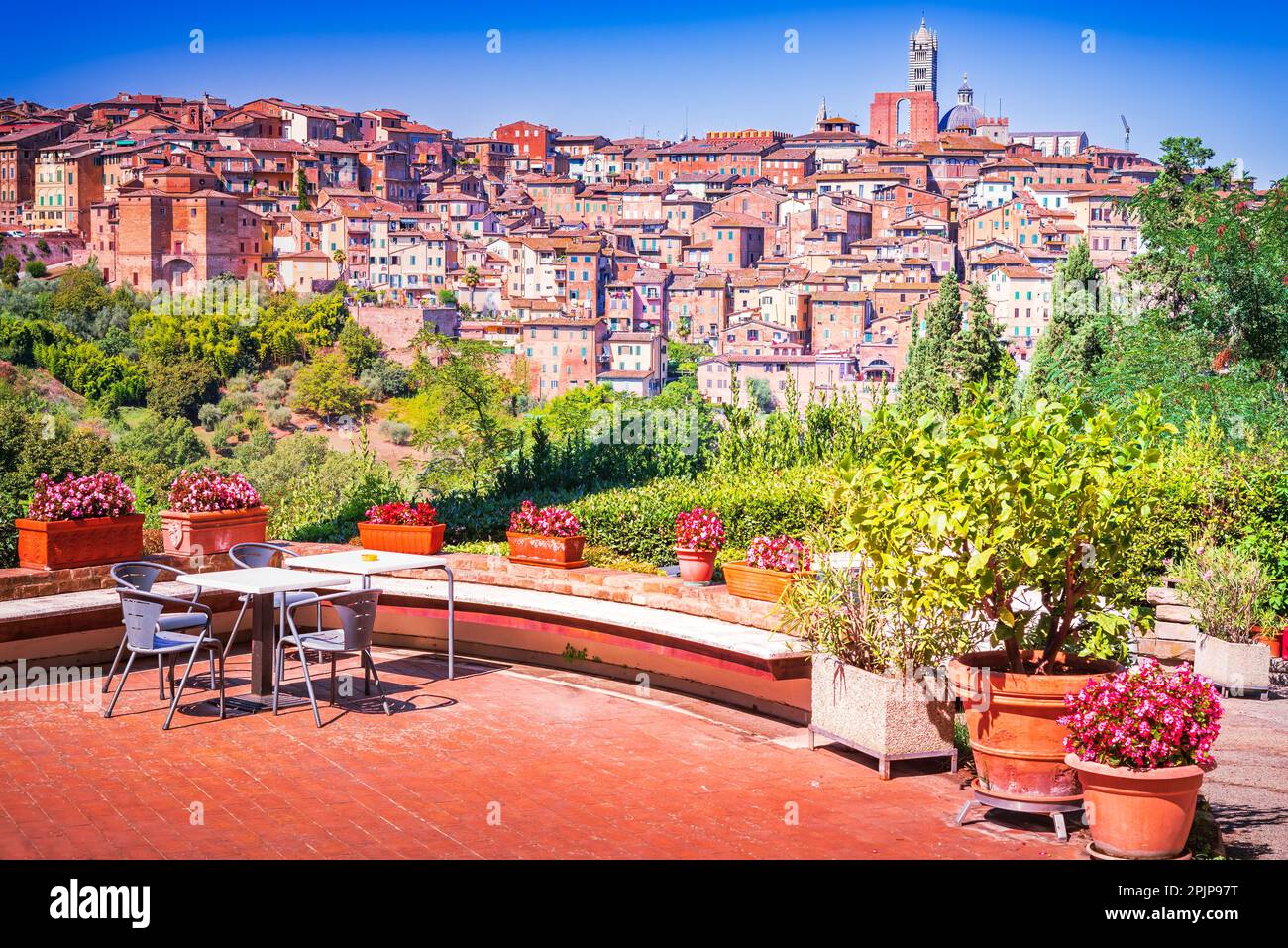 Siena, Italien. Bezaubernde mittelalterliche Stadt in der Toskana, bekannt für ihre atemberaubende Kathedrale, Torre del Mangia, wunderschöne Plätze und das berühmte Pferderennen Palio Stockfoto