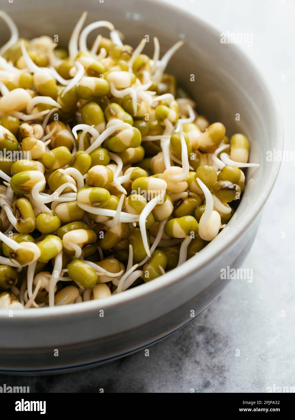 Kleine Schüssel mit gekeimtem Mungbohnen. Stockfoto