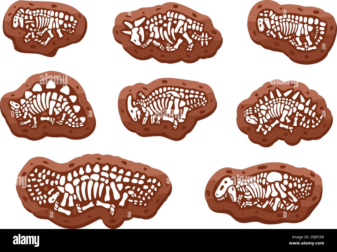 Dinosaurier-Fossilien-Skelette. Triceratops, Tyrannosaurus, Kentrosaurus, Brahiosaurus, Velociraptor, Stegosaurus, Parasaurolophus. Paläontologie Stock Vektor