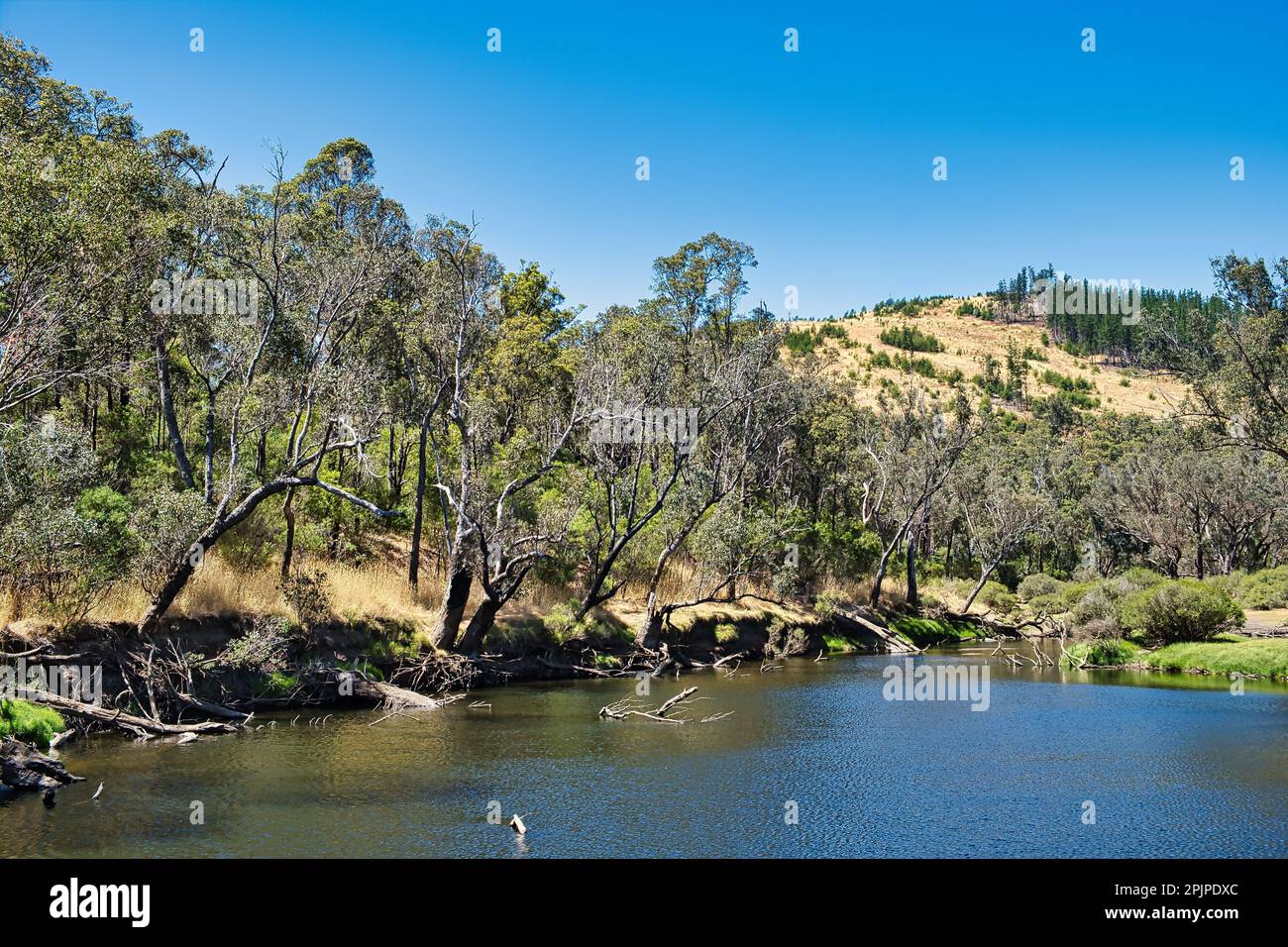 Der Blackwood River fließt durch den Wald in der Nähe der Wrights Bridge im Powlalup Nature Reserve, in der Nähe von Nannup, im Südwesten von Westaustralien Stockfoto