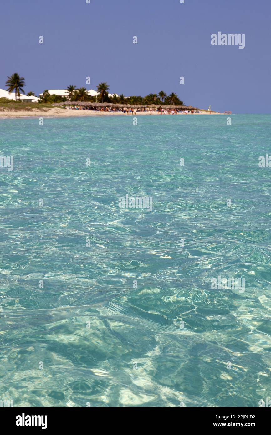 Blick vom Meer bis zum tropischen Strand mit Kokospalmen, vertikaler Schuss. Seebad auf karibischer Insel mit transparentem Wasser Stockfoto
