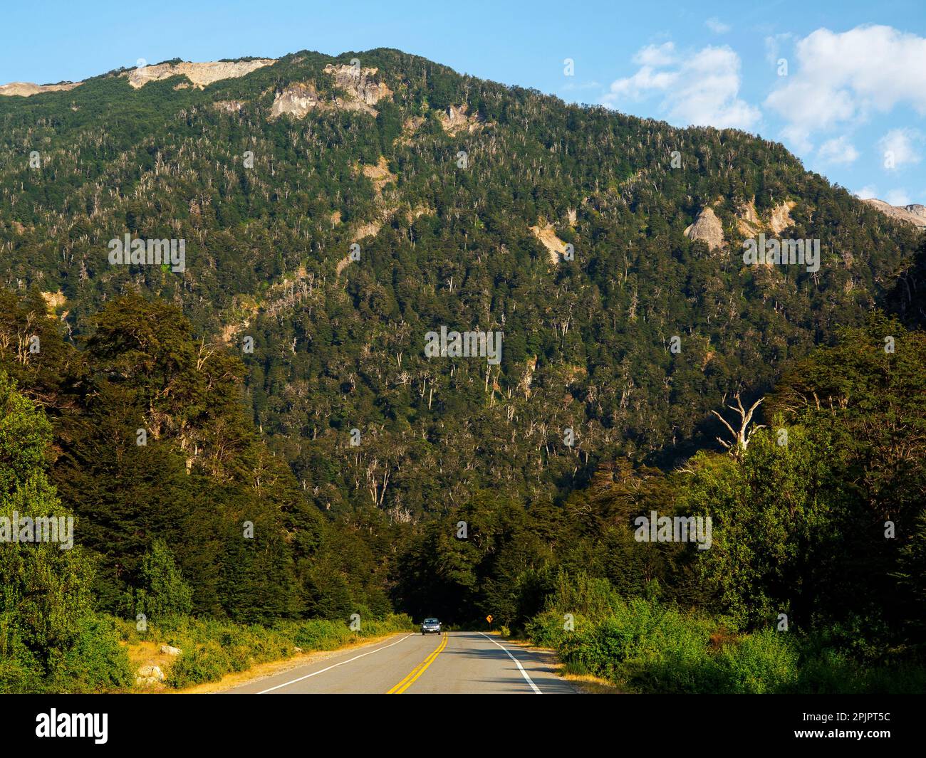 Road of Seven Lakes on the Ruta 40, Provinz Neuquén, Argentinien Stockfoto