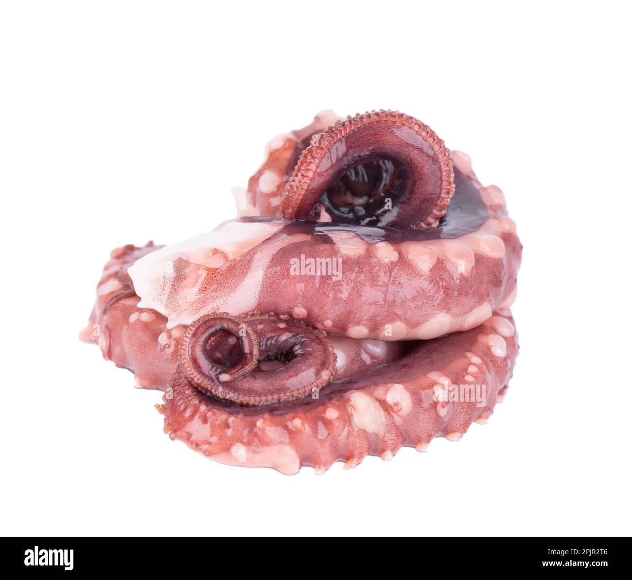 Tintenfischentakel isoliert auf weißem Hintergrund. Frischer roher Riesenkalmar Stockfoto